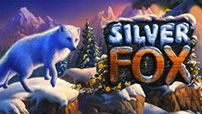 Silver Fox